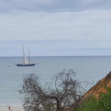 Alfamar E Falesia 公寓